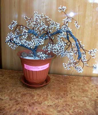 Лицей 1: «Город мастеров»