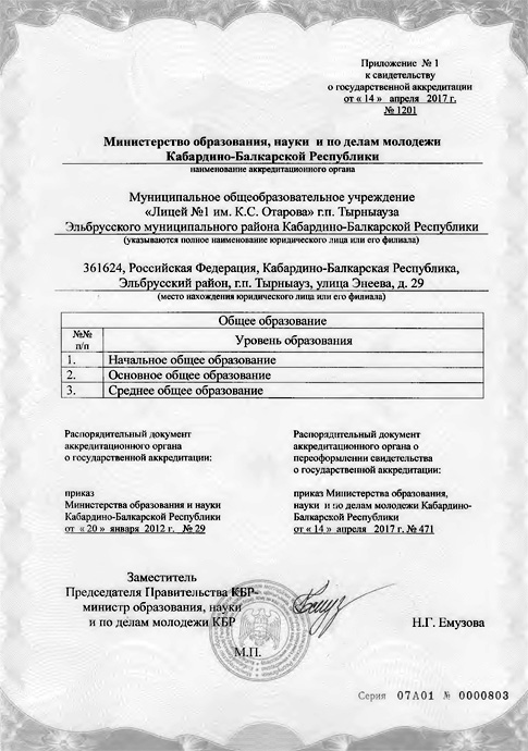 Приложение к свидетельству о государственной аккредитации лицея