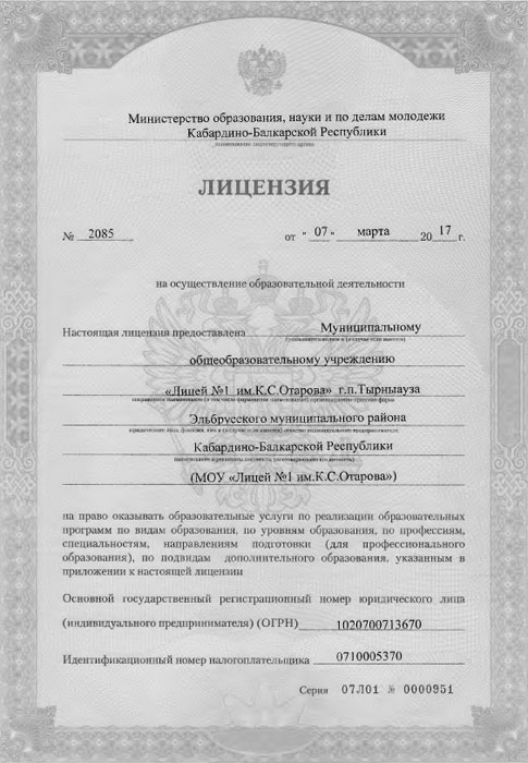Лицензия на право образовательной деятельности лицея. Лист 1